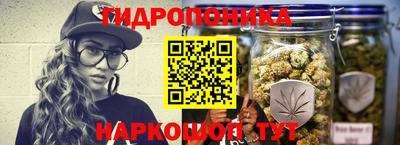 PSILOCYBIN Ирбит