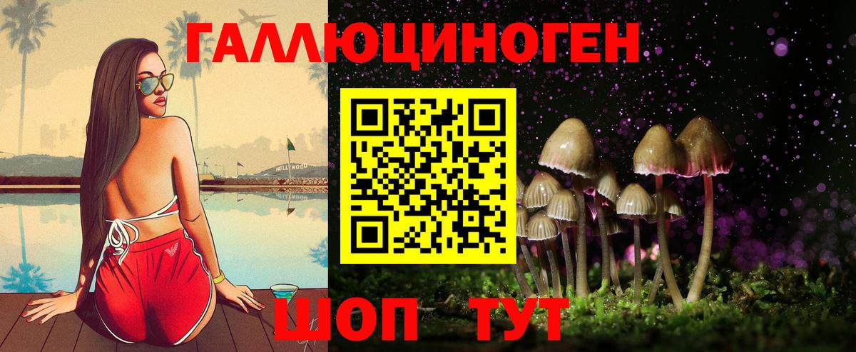 Галлюциногенные грибы Cubensis  Вход с VPN  Вязьма  Галлюциногенные грибы мицелий 